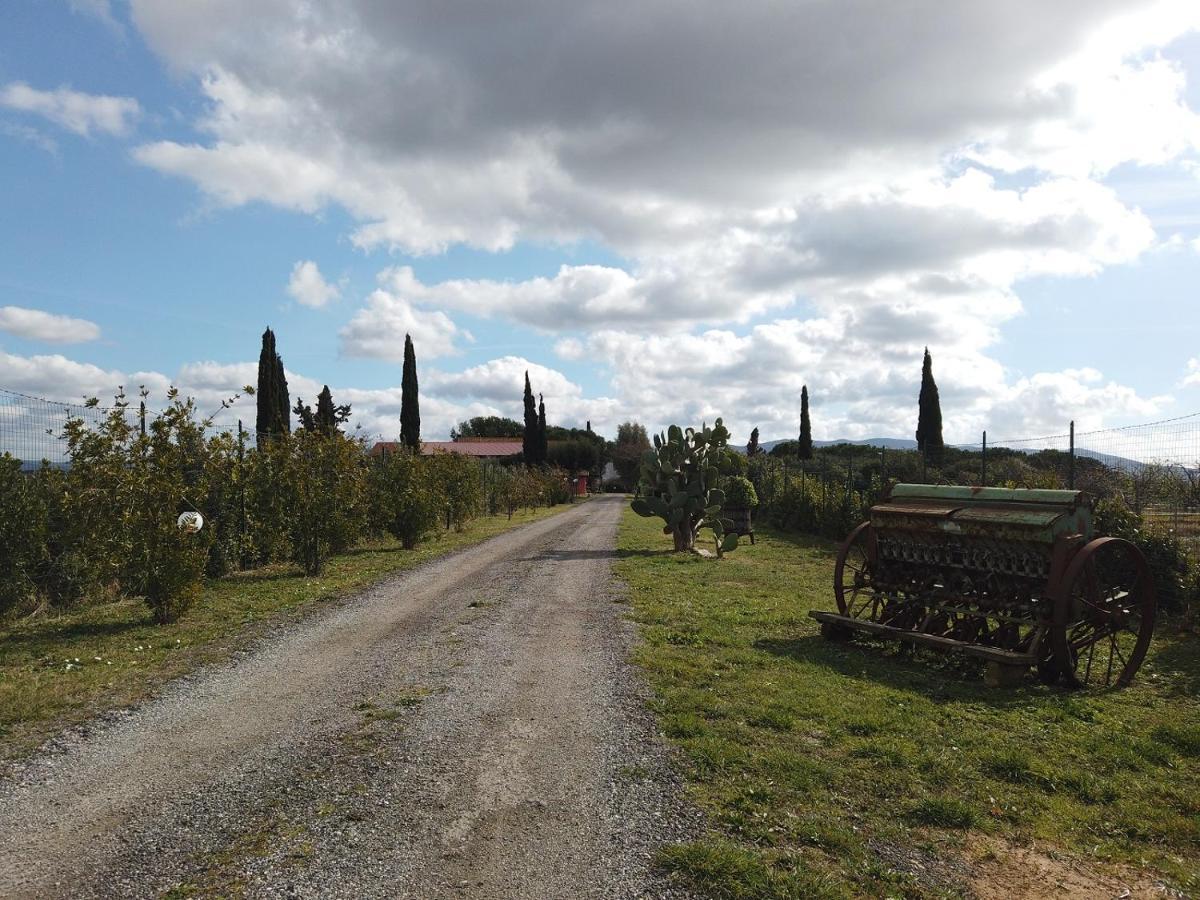 Locanda Le Mandriane Албиния Екстериор снимка